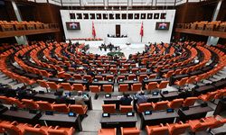 Meclis, 'Çocukların Suça Sürüklenmesini Önlemek İçin' Çalışacak