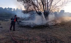 Sivas'ta anız yangını: 200 ağaç zarar gördü
