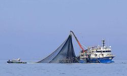 Su Sıcaklığı Düşmedi Hamsi Kaçtı