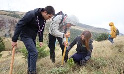 TİKA, Mostar’daki Yangın Bölgesine Ağaç Desteği Verdi