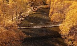 Van'daki İnci Kefali Tabiat Parkı sonbahar renkleriyle büyülüyor