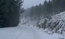 Adana'nın yüksek kesimlerinde kar yağışı etkili oldu