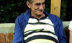 Arı Kovanlarının Bulunduğu Ahşap Yapı Devrildi