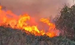Artvin'de örtü yangını