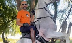 Atla Elektrik Direğine Çarptı