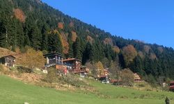 Ayder Yaylası'na teleferikli ulaşım desteği