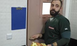 Bitkin Yavru Ayıya Özel Bakım