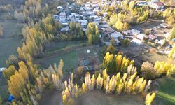 Bitlis'te sonbahar mevsimi doğal stüdyo oluşturdu