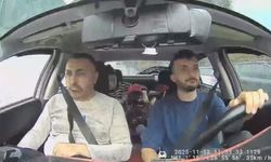 Böcek ailesinin ölüm sebebi belirlendi