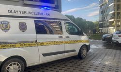 Bursa'da dengesini kaybedip 8'inci kattan düştü