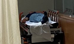 Bursa'da mantardan zehirlenen 7 kişi tedaviye alındı