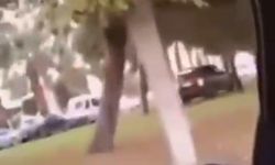 Ciple refüje çıkan sürücü gözaltına alındı