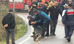 Dereye devrilen otomobildeki çift boğuldu