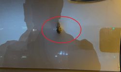 Diyarbakır’daki Silahlı Saldırıda Tutuklu Sayısı 9’a Yükseldi