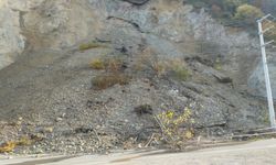 Düzce'de heyelan meydana geldi