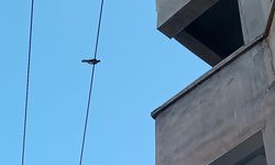 Elektrik çarpan Furkan yeniden yürümeye başladı