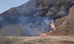 Erzurum'da örtü yangını meydana geldi