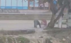 Foça'da sağanak etkili oldu