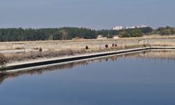 Hastaneden ayrılarak kaybolan polis memurunu arama çalışmaları sürüyor