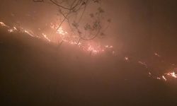Hatay'da yıldırım düşmesinin neden olduğu orman yangını, 12 saatte söndürüldü