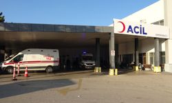 Hayvan otlatırken ayı saldırısına uğradı