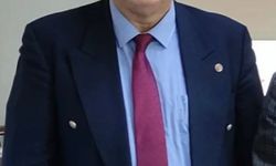 İş insanı kedileri beslediği için darbedildi