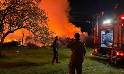 İzmir’de belediyenin çöp depolama sahasında yangın çıktı