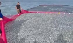 İznik Gölü'nde Rekor Balık Avı