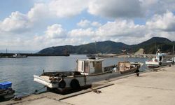 Japonya'da korkutan yangın