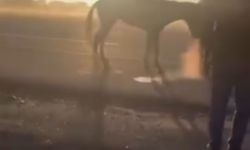 Kamyonetin arkasında dakikalarca sürüklendi