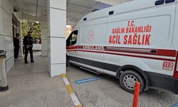 Kavga ettiği ağabeyini döverek öldürdü