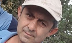 Kestiği ağacın altında kalarak hayatını kaybetti