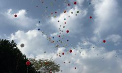 Lösemiyi yenen Mirza için balonlar uçuruldu