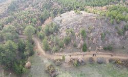 Mantar toplamak için evden ayrıldı, cansız bedeninine ulaşıldı