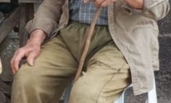 Mantar Toplamaya Gidip Dönmedi