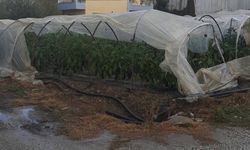 Mersin'de hortumlar evlere zarar verdi