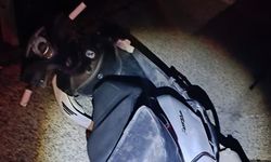 Motosiklet refüje çarpıp devrildi