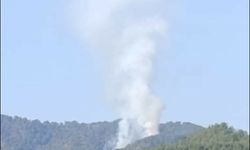 Muğla Seydikemer'de orman yangını çıktı