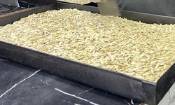 Nevşehir'in Kabak Çekirdeğine Yabancılardan Yoğun İlgi