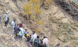 Odun toplamaya çıktığı dağda kalp krizi geçirdi