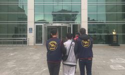 Ordu'da jandarma operasyonları