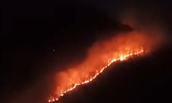 Ordu'da ormana sıçrayan yangına müdahale sürüyor