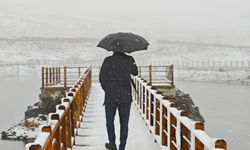 Ordu'nun yüksekleri karla kaplandı