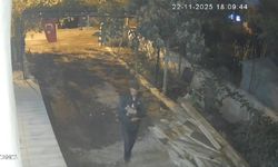 Osmaniye'de Mavi Yumurtlayan Özel Cins Tavuğu Çaldılar