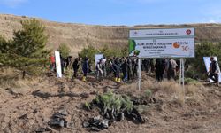 ÖSYM, 51'inci yılını fidan dikimi ile kutladı