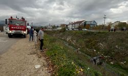 Otomobil, Dereye Uçtu