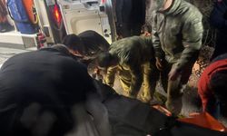 Posof'ta kamyon uçuruma yuvarlandı