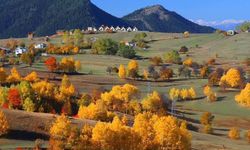 'Sakin şehir' Şavşat'ta sonbaharda renk cümbüşü