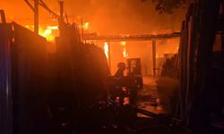 Şanlıurfa'da Yangından Güvercinler Kurtarıldı