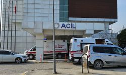 Sapanca'da bir villada bilinçleri kapalı halde bulundular